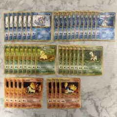 ポケモンカード　旧裏　プレミアムファイル　42枚　チコリータ　ヒノアラシ　等
