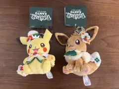 ポケパーク KANTO 限定 ピカチュウ イーブイ ぬいぐるみキーホルダー