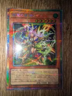 遊戯王 エルフェンノーツ 耀聖の風詩レギナ プリズマ プリシク