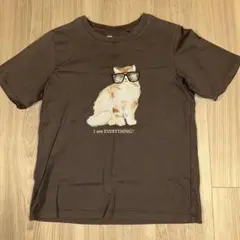 ユニクロ　PAUL & JOE 猫イラスト Tシャツ M