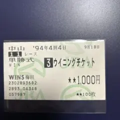 ウイニングチケット　馬券　産経賞オールカマー　WINS梅田