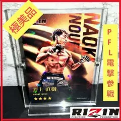 Item thumbnail for item 3963cfa2-0cbf-4228-9baa-0b7458dd4fa5