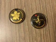 ポケットモンスター アドバンスジェネレーション　メダルコレクション