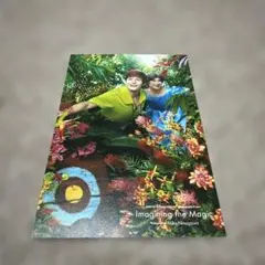ディズニー　ポストカード　イマジニングザマジック