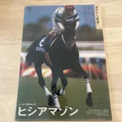 ヒーロー列伝 クリアファイル メイショウマンボ 2025年最新】ヒーロー列伝 クリアファイルの人気アイテム - メルカリ