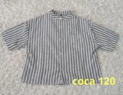 coca ストライプ 半袖シャツ 120