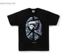 Item thumbnail for item 8f18f59b-d185-4870-8789-003b03dff664