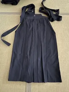 Item thumbnail for item f0877e68-56bc-4f5f-80ae-570e37bef64f