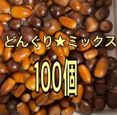 どんぐり★ミックス100個