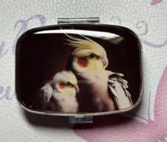 ⚠️フォロワー様感謝SALE⚠️ハンドメイド レジン オカメインコ ピルケース