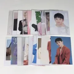 セブチ　ウジ　まとめ売り