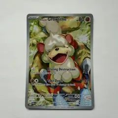 2025年最新】ヒスイガーディarの人気アイテム - メルカリ