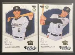 Item thumbnail for item 0631668b-7059-40c6-b497-eee46a3a9b49