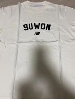 Item thumbnail for item 424be58b-1c50-474b-8795-6fa5db93431e