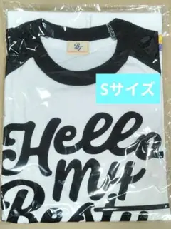 Item thumbnail for item a162c76a-be8f-4aef-9bf1-735cbb39e388