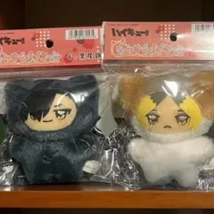 ハイキュー!!ちみけもますこっと◆黒尾/孤爪◆4点セット Amazon.co.jp: ハイキュー ちみけもますこっと 孤爪 研磨 黒尾