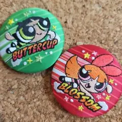 パワーパフガールズ 刺繍缶バッジ2個セット