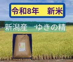 令和8年 新潟産 ゆきの精 玄米20kg 令和8年 新潟産 こしいぶき 玄米20kg - メルカリ