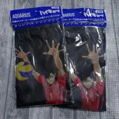 Item thumbnail for item 3e7980b3-325b-4aeb-be20-d98df0f6e292