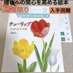 福音館書店　絵本　チューリップ　きゅうこんとたね　新品未使用　入学祝い　入手困難