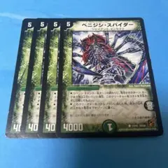 ベニジシスパイダー 4枚