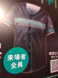 FIGHTERS ユニフォーム 26年　黒芝ユニ