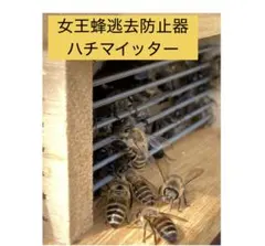 Item thumbnail for item 0fee66fd-e08b-48e6-9281-024bac4c8f63