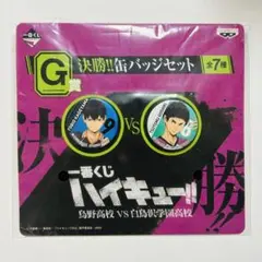 ハイキュー‼︎ 烏野高校VS白鳥沢学園高校  缶バッジセット 影山飛雄 五色工