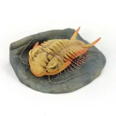 海洋堂 竹谷隆之 『艦長かっぱ』 大山竜 『コモリカッパ