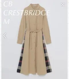 Item thumbnail for item bc636986-0904-4eb7-8402-823093b68e9b