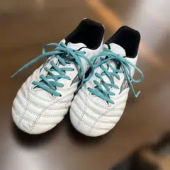 モナルシーダ 22.5