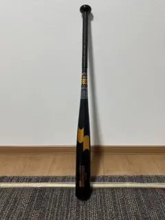 Item thumbnail for item 63cab875-3f1b-4b7e-a3f0-3b40b92283b5