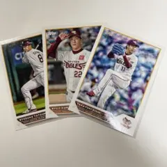 Item thumbnail for item bc5adea3-76ef-47d0-8bb0-df7c64ccda5f