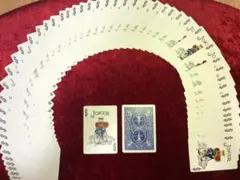 Item thumbnail for item 660e4ec1-f523-48f9-8328-bc2b436ccc08