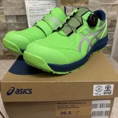 ⭐︎限定色⭐︎Mizuno BOA安全靴 25cm F1GA250532 - メルカリ