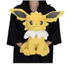 ポケモンセンター ふわふわ抱きぬいぐるみ ニャスパー - メルカリ