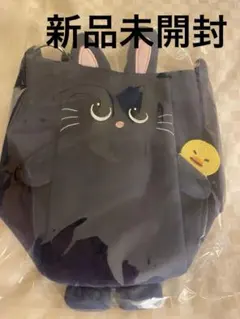 RIIZE ウォンビン　FANLIGHTバッグ　新品未開封