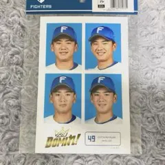 大塚瑠晏　証明写真風　オリジナルステッカー　ファイターズ　日ハムのサムネイル