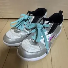 Item thumbnail for item 732137a6-3fee-4d04-8bb6-17cf17452dda