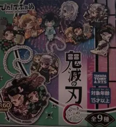鬼滅の刃 × Keepアプリコラボ　中国　メダル　義勇　しのぶ　天元 鬼滅の刃 × Keepアプリコラボ 中国 メダル 義勇 しのぶ 天元 - メルカリ