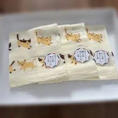 フェイスタオル 猫 3枚セット