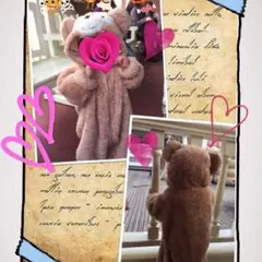 ダッフィー風着ぐるみ