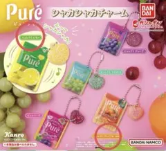 カンロ ピュレグミ シャカシャカチャーム