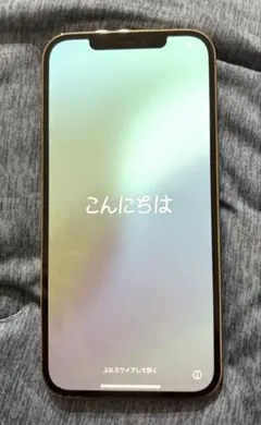 本体 スマートフォン本体
