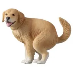 ゴールデンレトリバー カプセルトイ