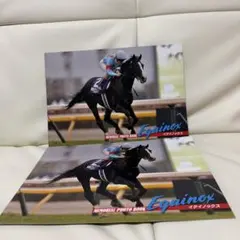 イクイノックス MEMORIAL PHOTO BOOK 2冊セット 競馬