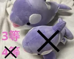 神戸 須磨シーワールド オルカくじ ラベンダー 3等 シャチ ぬいぐるみ