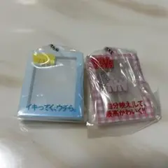 ViVi だれでもアクリルチャーム