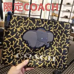 2025年最新】コーチダンボの人気アイテム - メルカリ