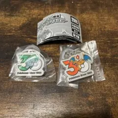 ポケモン　30周年　メタルチャーム　マスコットフシギダネ　リザードン　セット